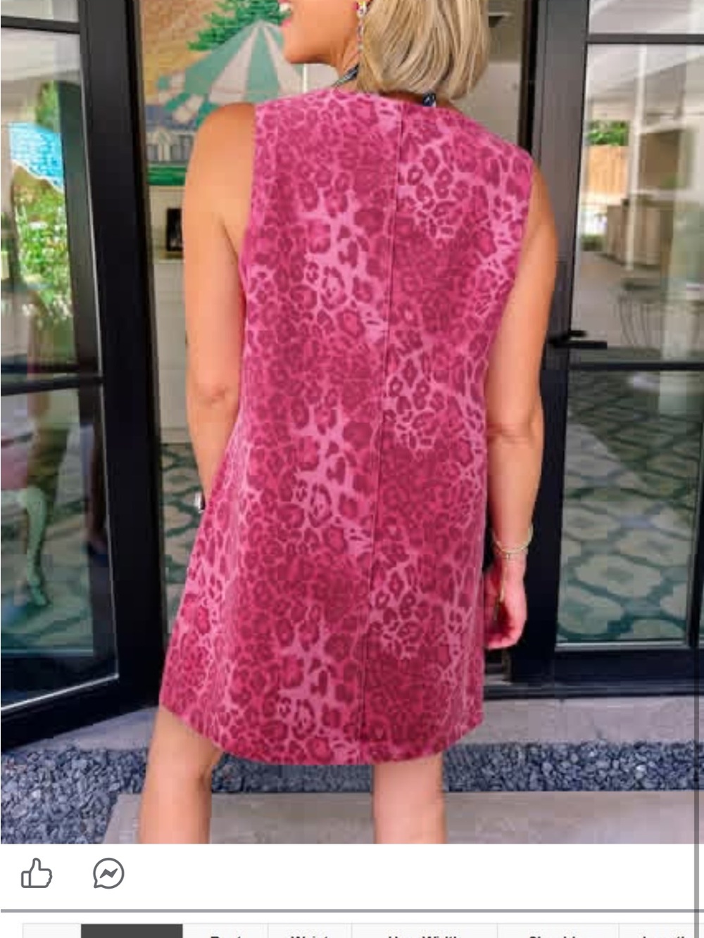 SHEIN Pink Leopard Print Mini Dress
